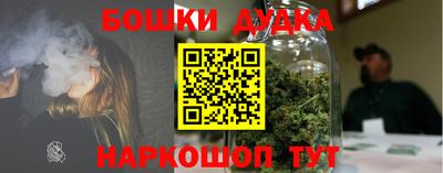 бошки Новодвинск