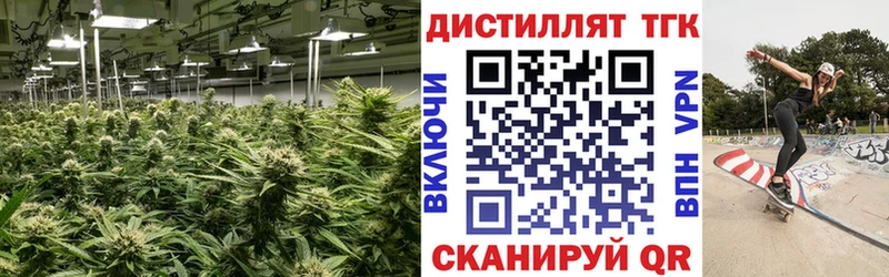 Дистиллят ТГК THC oil  Чайковский 