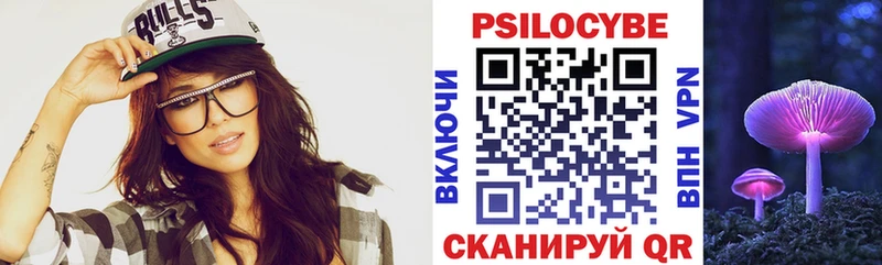 закладка  Чайковский  Псилоцибиновые грибы Psilocybe 